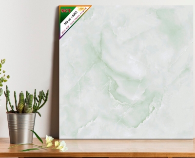 Gạch World Tiles SCT 6303
